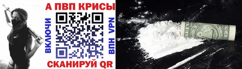 A-PVP СК КРИС  Дзержинск 