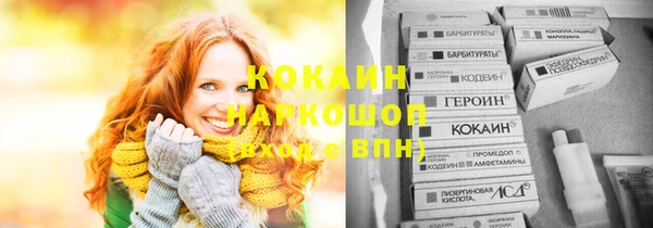 соль ск Тавда