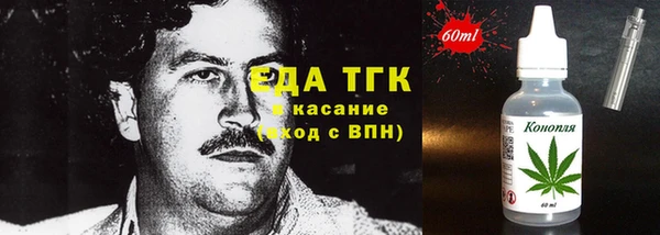 хмурый Арсеньев