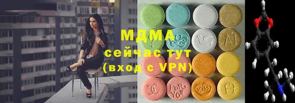 хмурый Арсеньев