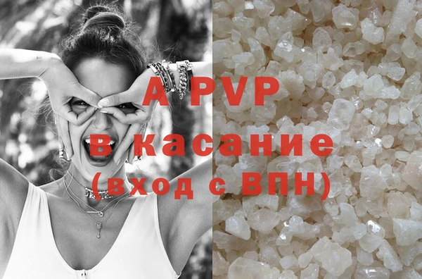 хмурый Арсеньев