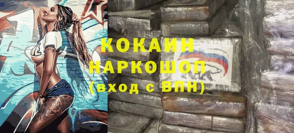 хмурый Арсеньев