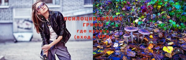 хмурый Арсеньев