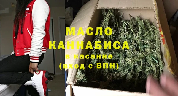 хмурый Арсеньев