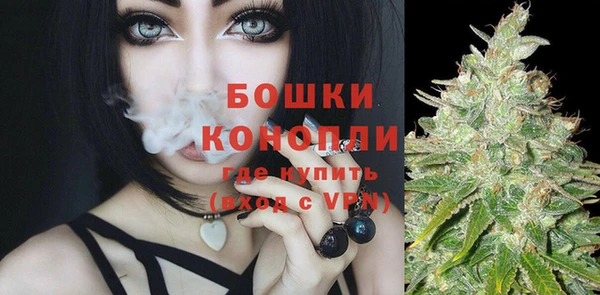 хмурый Арсеньев