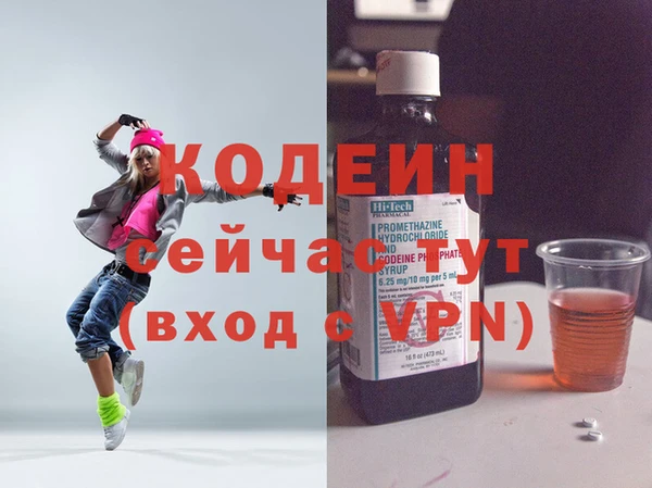 хмурый Арсеньев