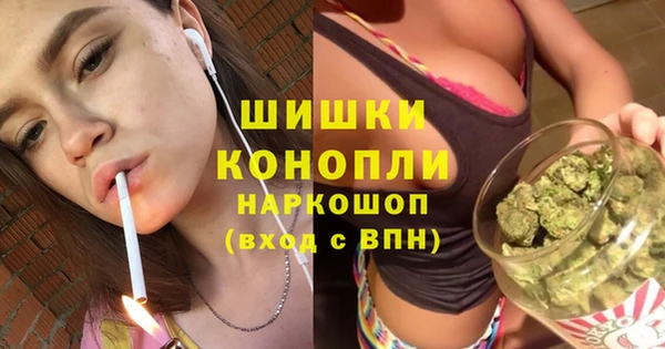 хмурый Арсеньев