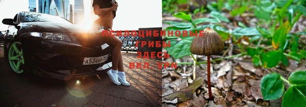 хмурый Арсеньев