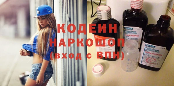 хмурый Арсеньев