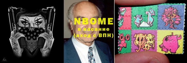 хмурый Арсеньев
